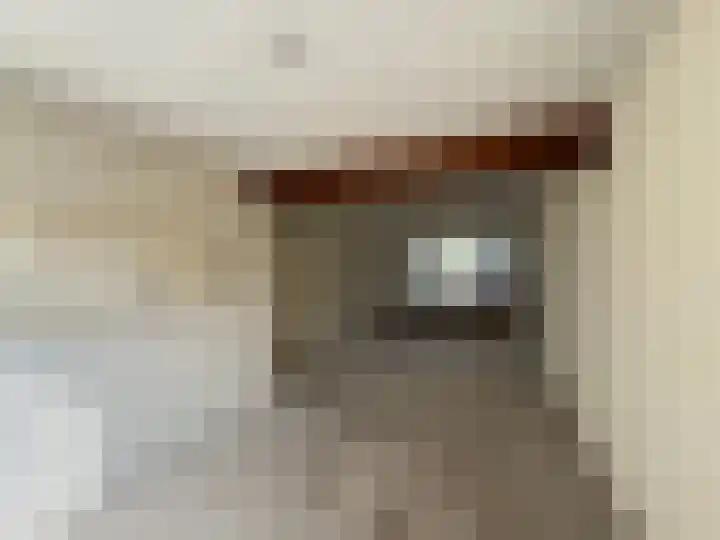 Molenbeekstraat 2 Roosendaal thumbnail 4