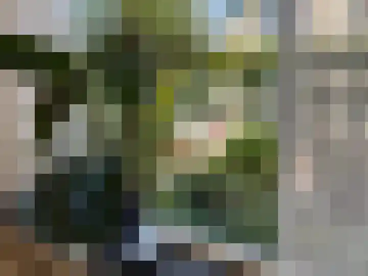 Molenbeekstraat 2 Roosendaal thumbnail 5
