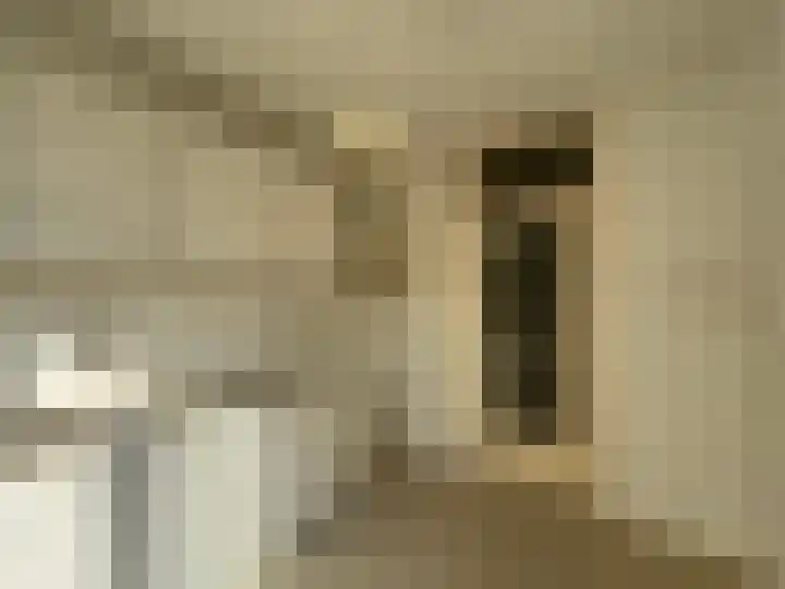 Molenbeekstraat 2 Roosendaal thumbnail 7