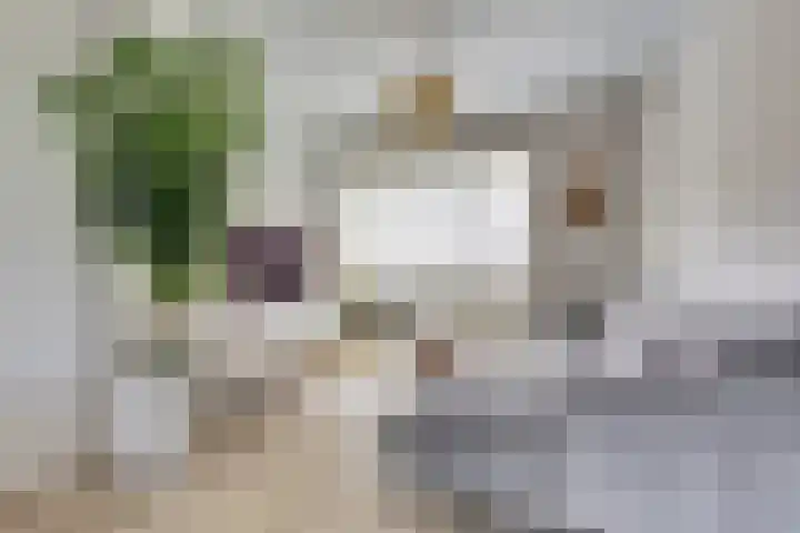 Molenbeekstraat 23 Arnhem thumbnail 6