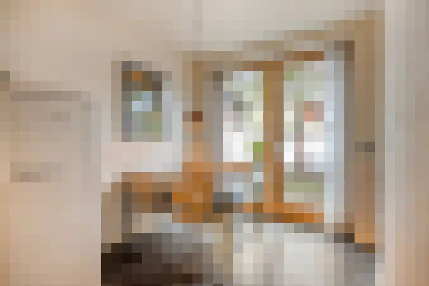 Molenbeekstraat 3 Arnhem thumbnail 15