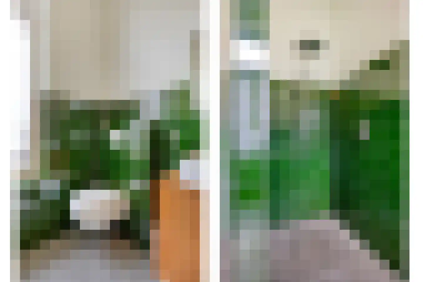 Molenbeekstraat 3 Arnhem thumbnail 30
