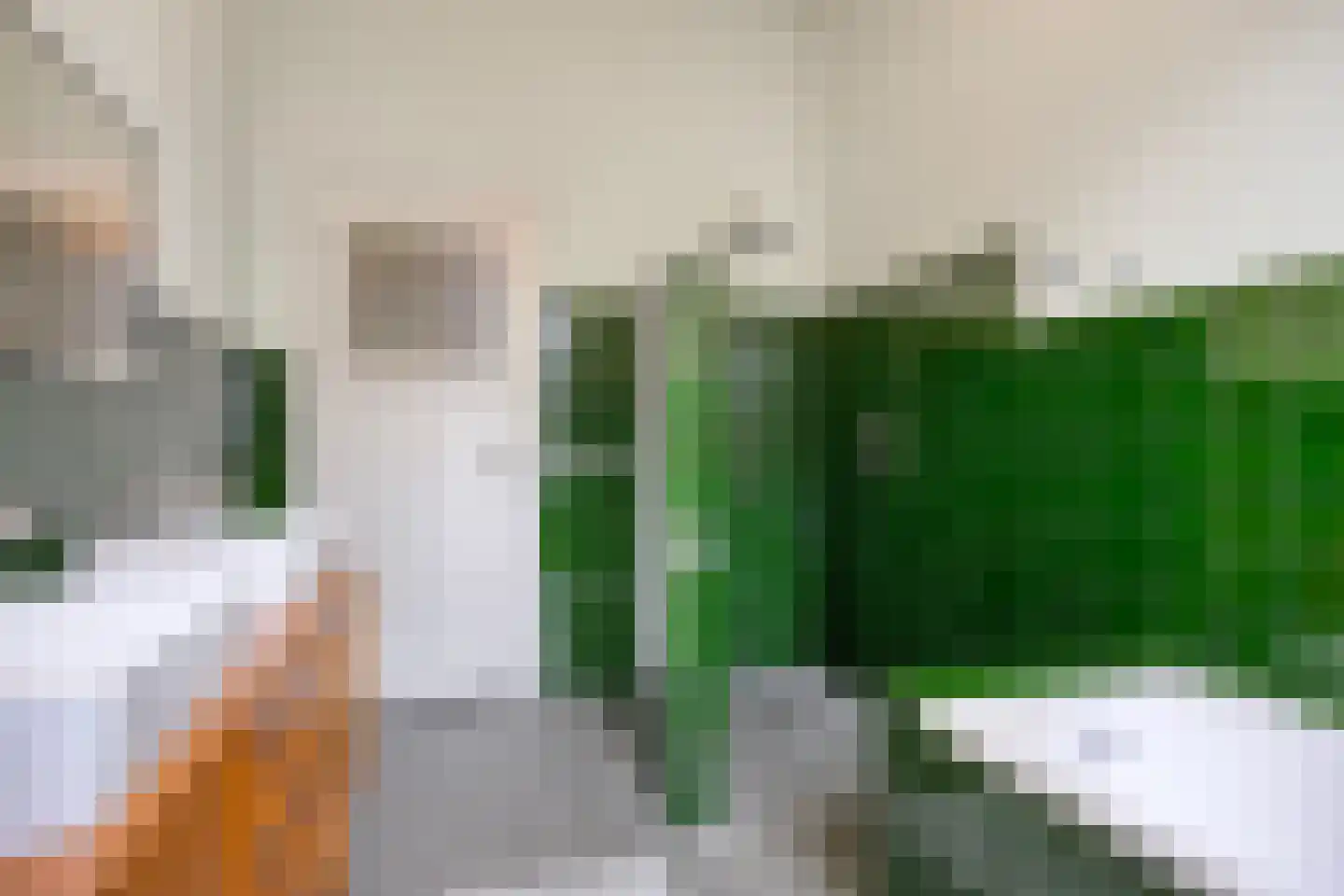 Molenbeekstraat 3 Arnhem thumbnail 4