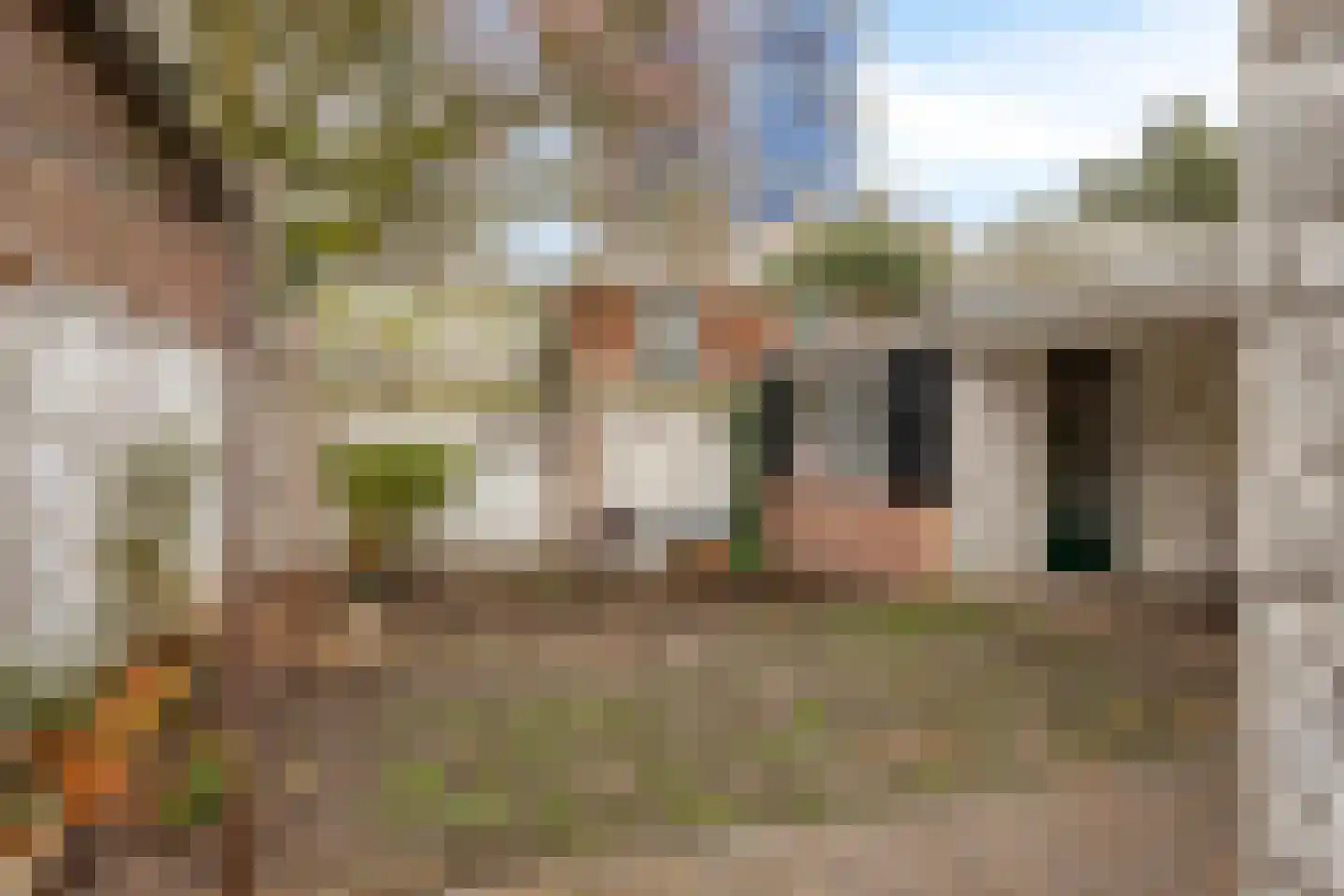 Molenbeekstraat 3 Arnhem thumbnail 41