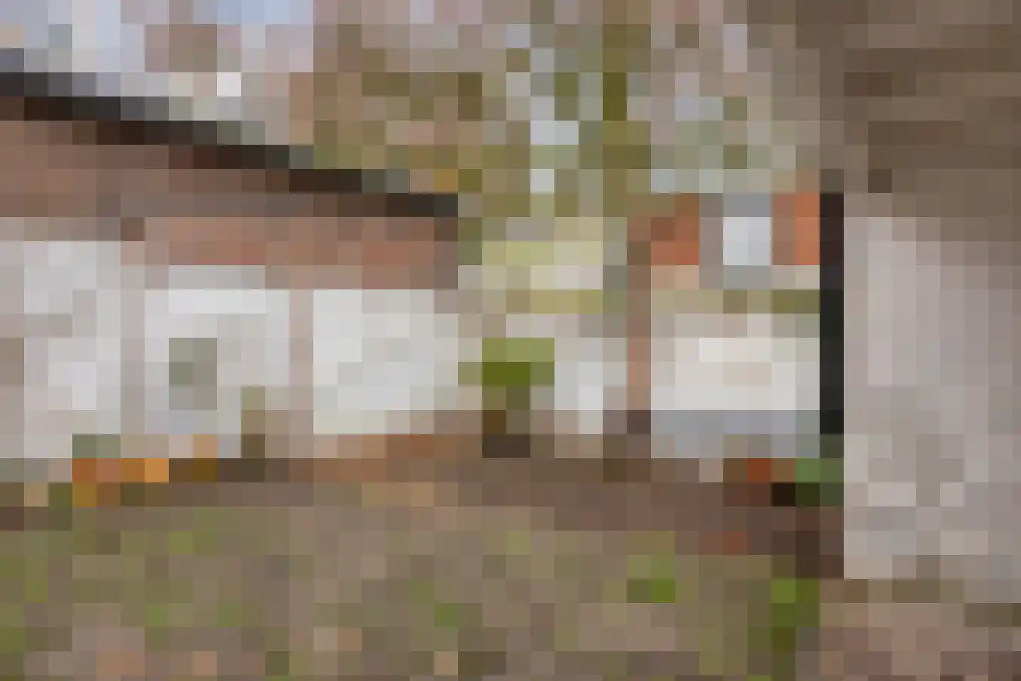 Molenbeekstraat 3 Arnhem thumbnail 42