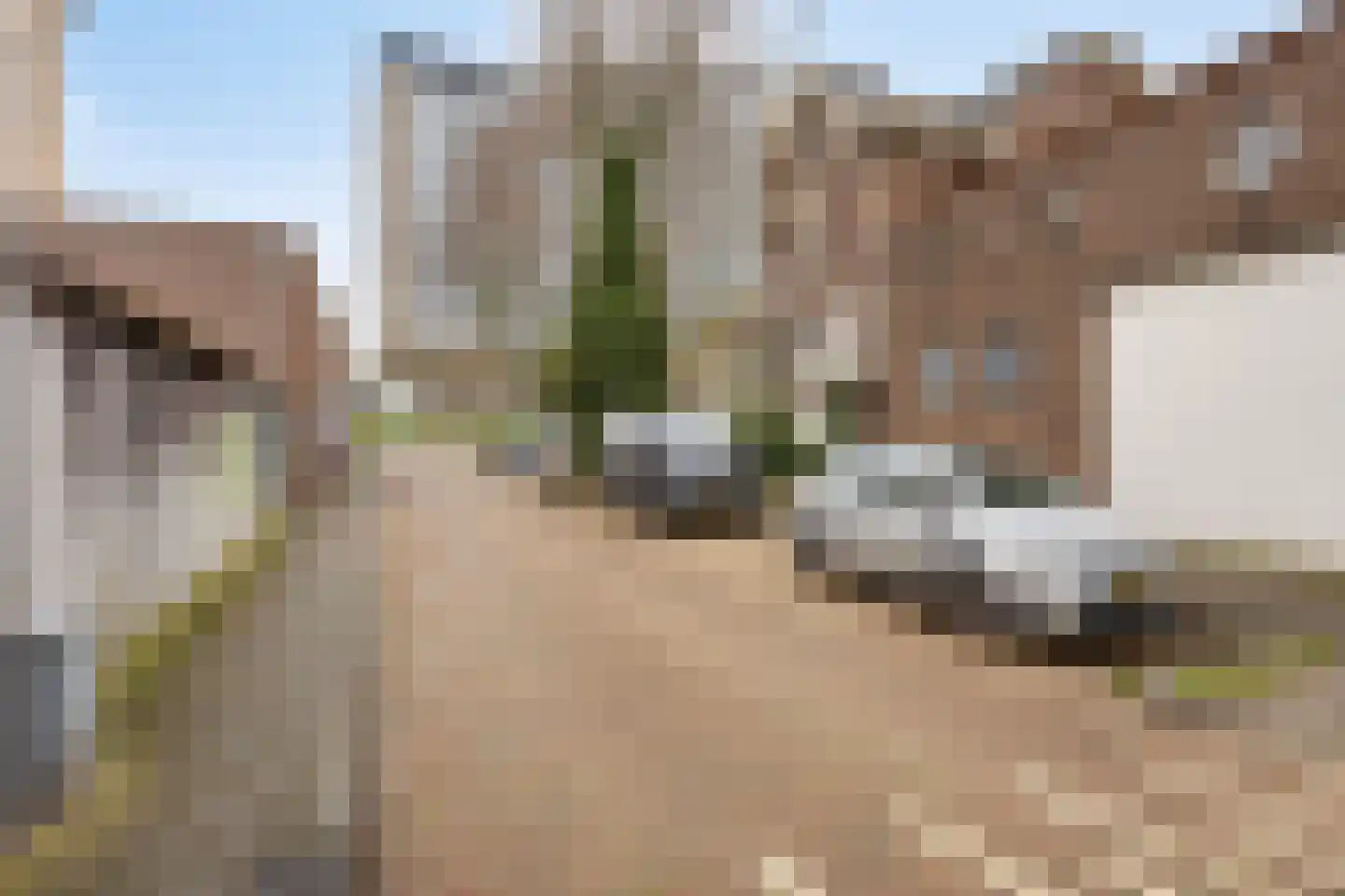 Molenbeekstraat 3 Arnhem thumbnail 55
