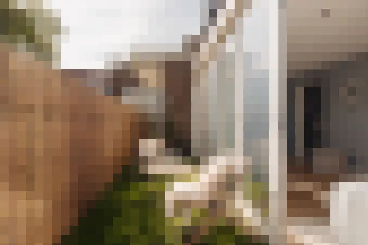 Molenbeekstraat 33 2 Amsterdam thumbnail 19