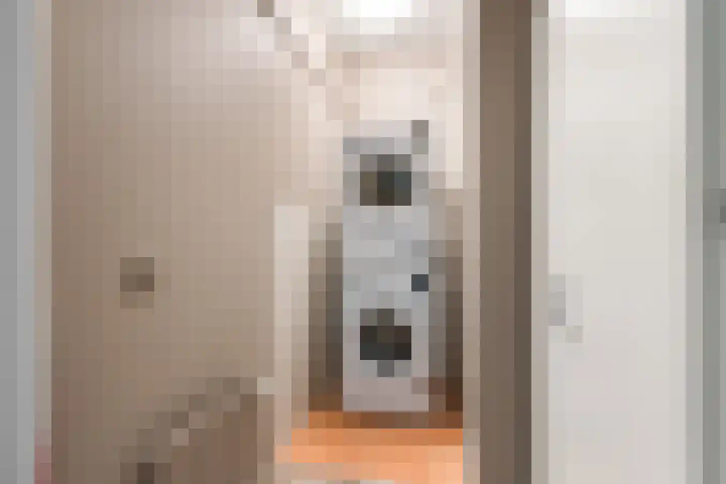 Molenbeekstraat 37 Utrecht thumbnail 20