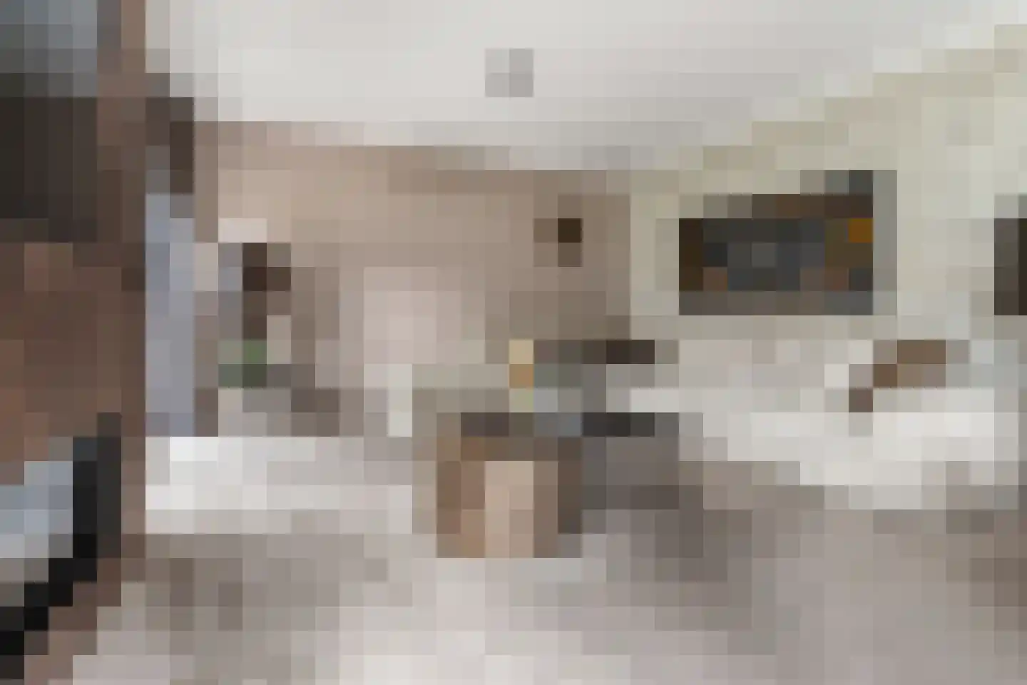 Molenbeekstraat 37 Utrecht thumbnail 5