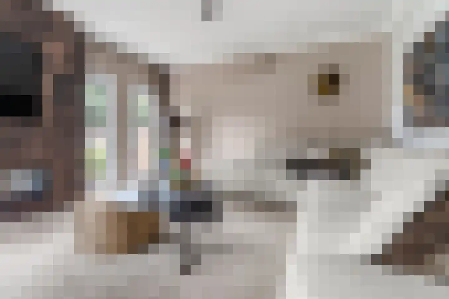 Molenbeekstraat 37 Utrecht thumbnail 6