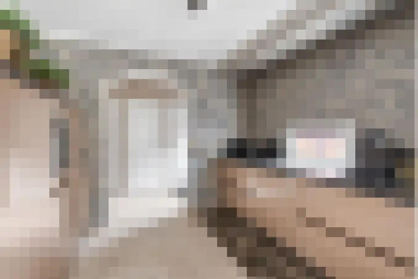 Molenbeekstraat 37 Utrecht thumbnail 8