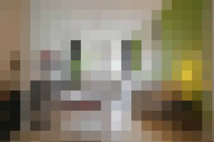 Molenbeekstraat 4 Arnhem thumbnail 16