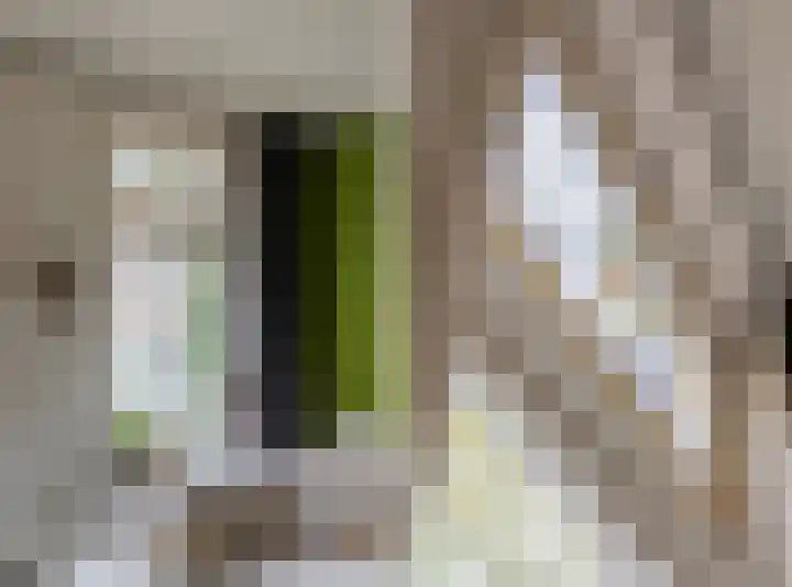 Molenbeekstraat 4 Arnhem thumbnail 17