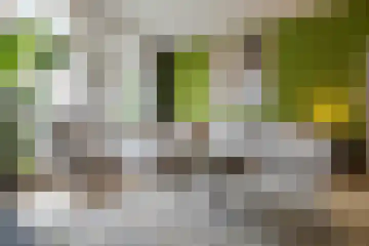 Molenbeekstraat 4 Arnhem thumbnail 18