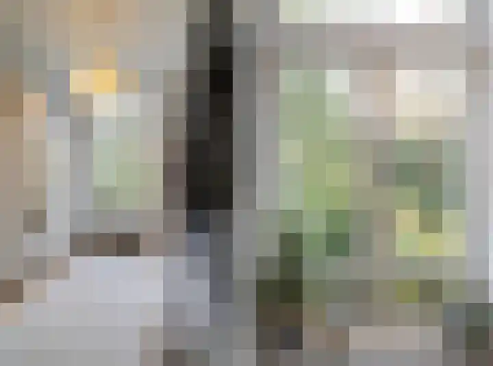Molenbeekstraat 4 Arnhem thumbnail 33