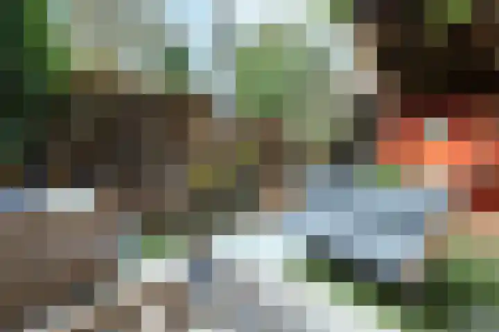 Molenbeekstraat 4 Arnhem thumbnail 6