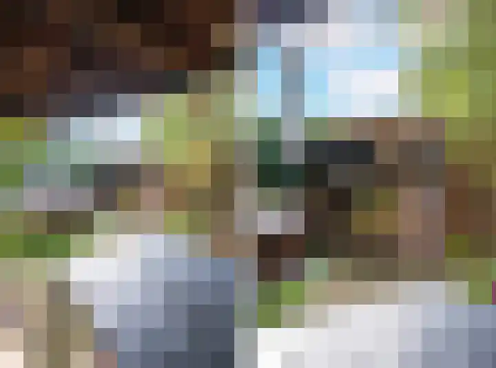 Molenbeekstraat 4 Arnhem thumbnail 64