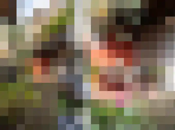 Molenbeekstraat 4 Arnhem thumbnail 66