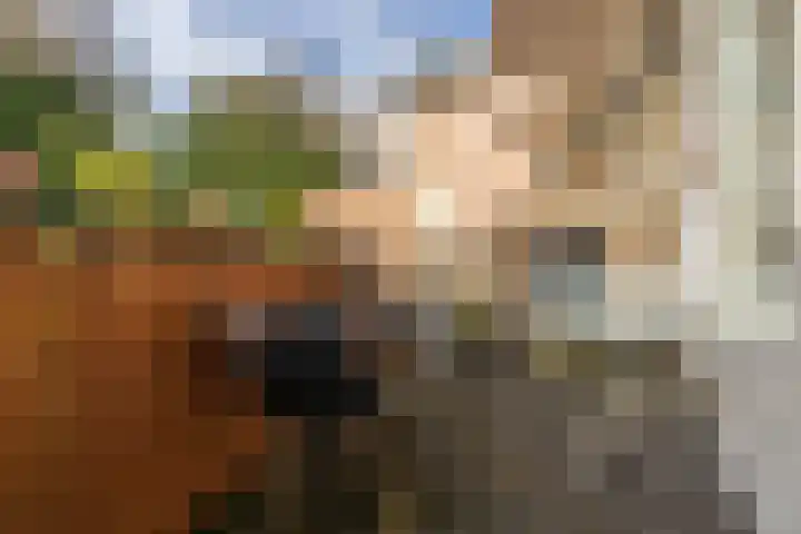 Molenbeekstraat 4 Arnhem thumbnail 68