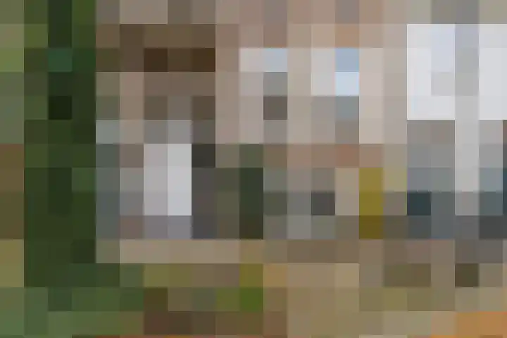 Molenbeekstraat 4 Arnhem thumbnail 7