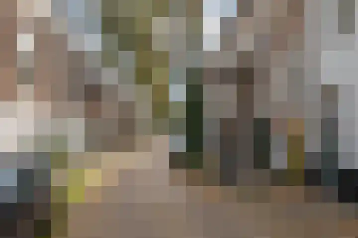 Molenbeekstraat 4 Arnhem thumbnail 9