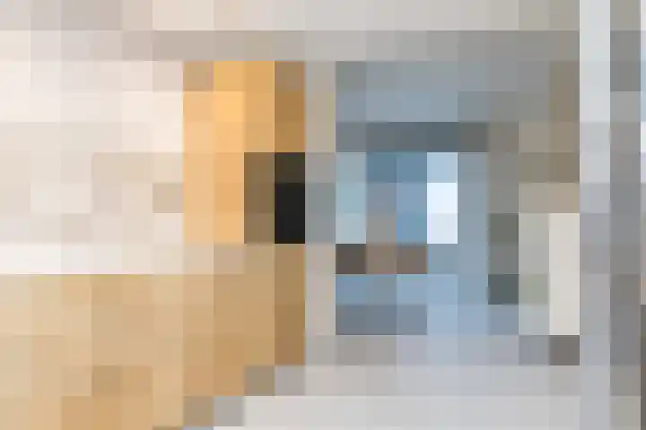 Molenbeekstraat 4 Voerendaal thumbnail 15