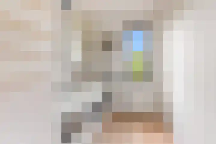 Molenbeekstraat 43 Utrecht thumbnail 11
