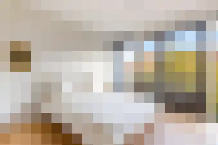 Molenbeekstraat 43 Utrecht thumbnail 13