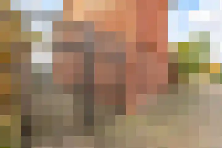 Molenbeekstraat 43 Utrecht thumbnail 33