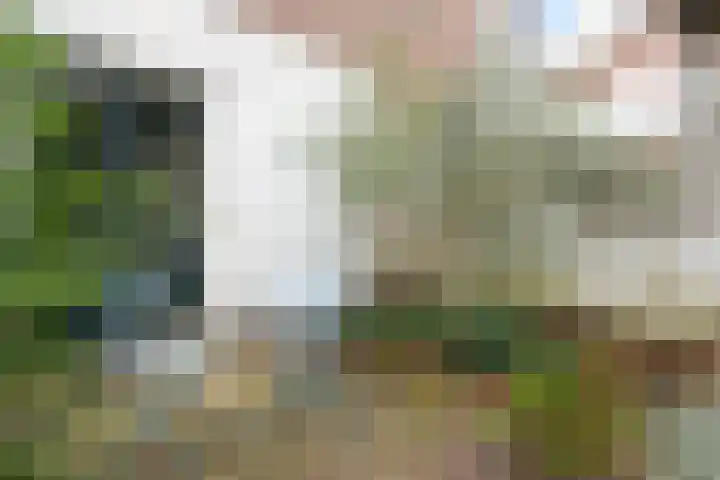 Molenbeekstraat 5 Arnhem thumbnail 15