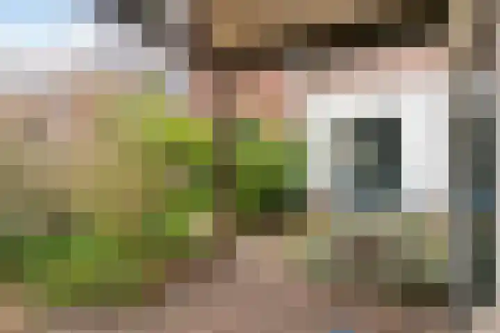 Molenbeekstraat 5 Arnhem thumbnail 17