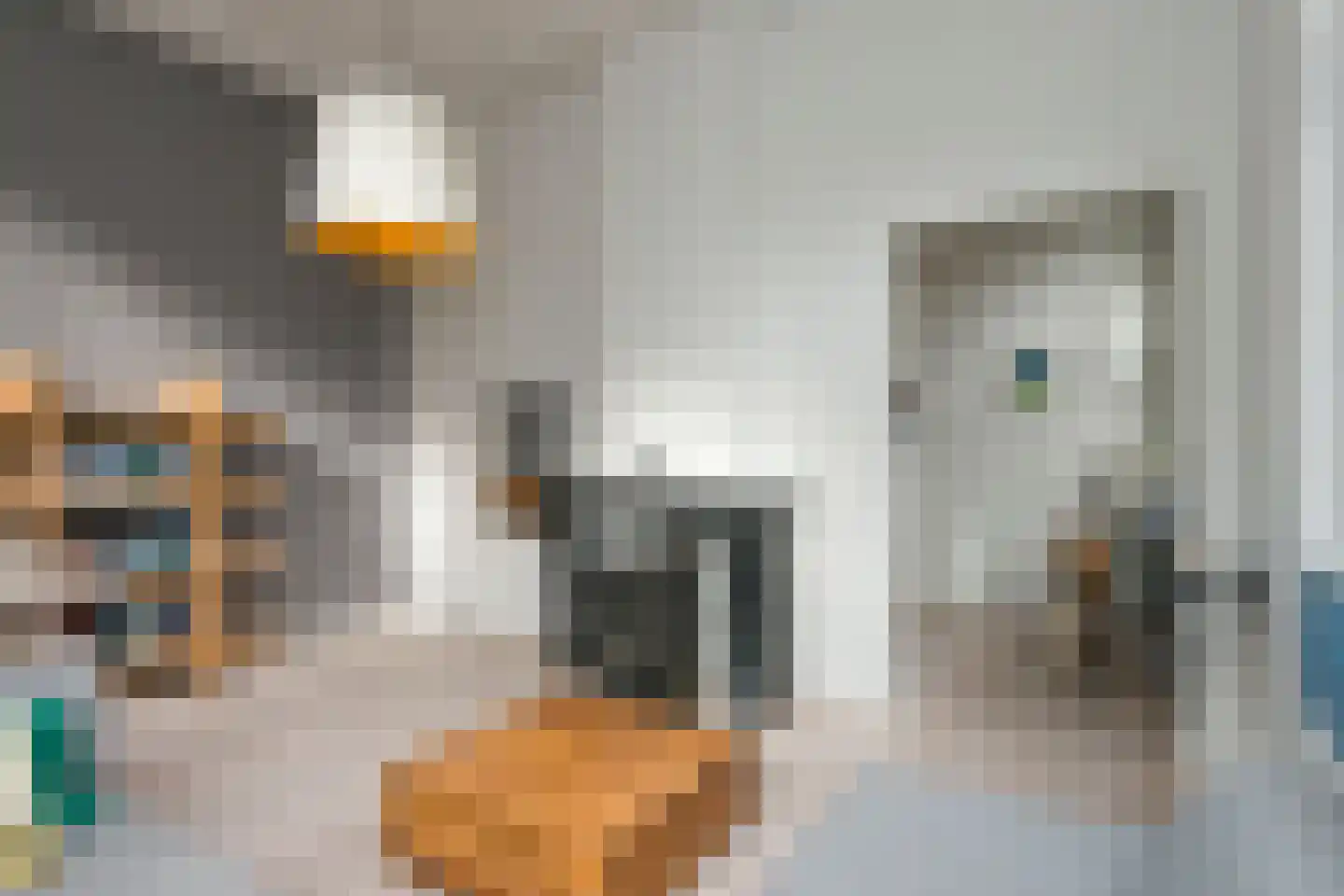 Molenbeekstraat 5 Arnhem thumbnail 21