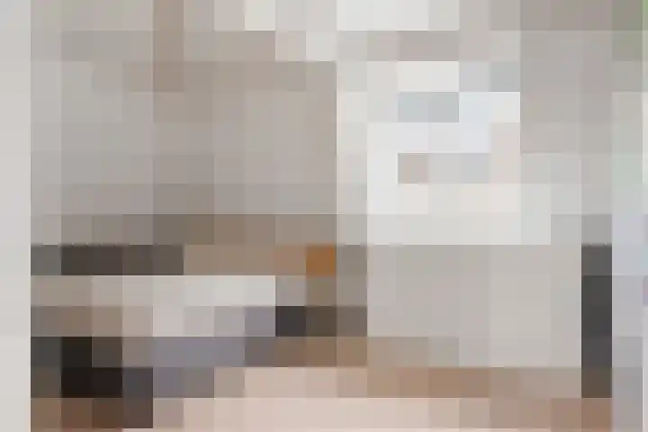 Molenbeekstraat 5 Arnhem thumbnail 39