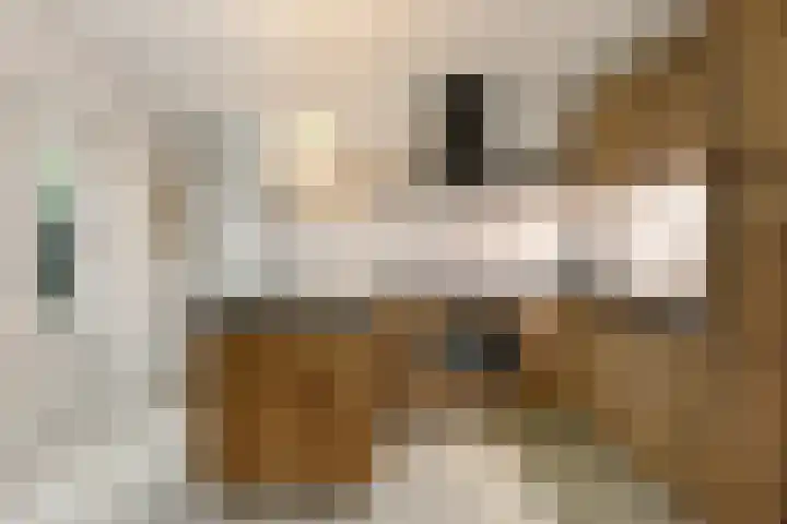 Molenbeekstraat 5 Arnhem thumbnail 7
