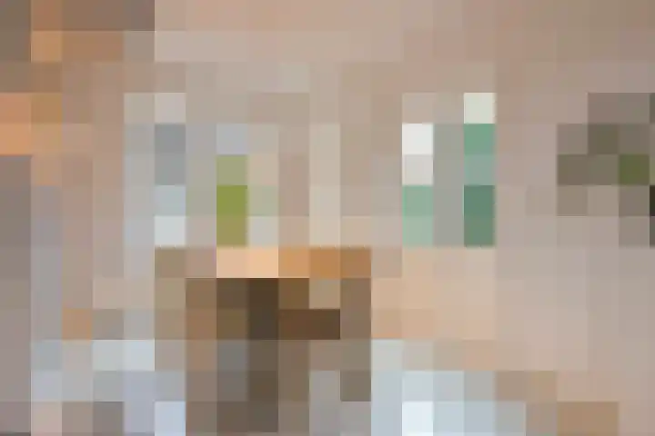 Molenbeekstraat 5 Arnhem thumbnail 9