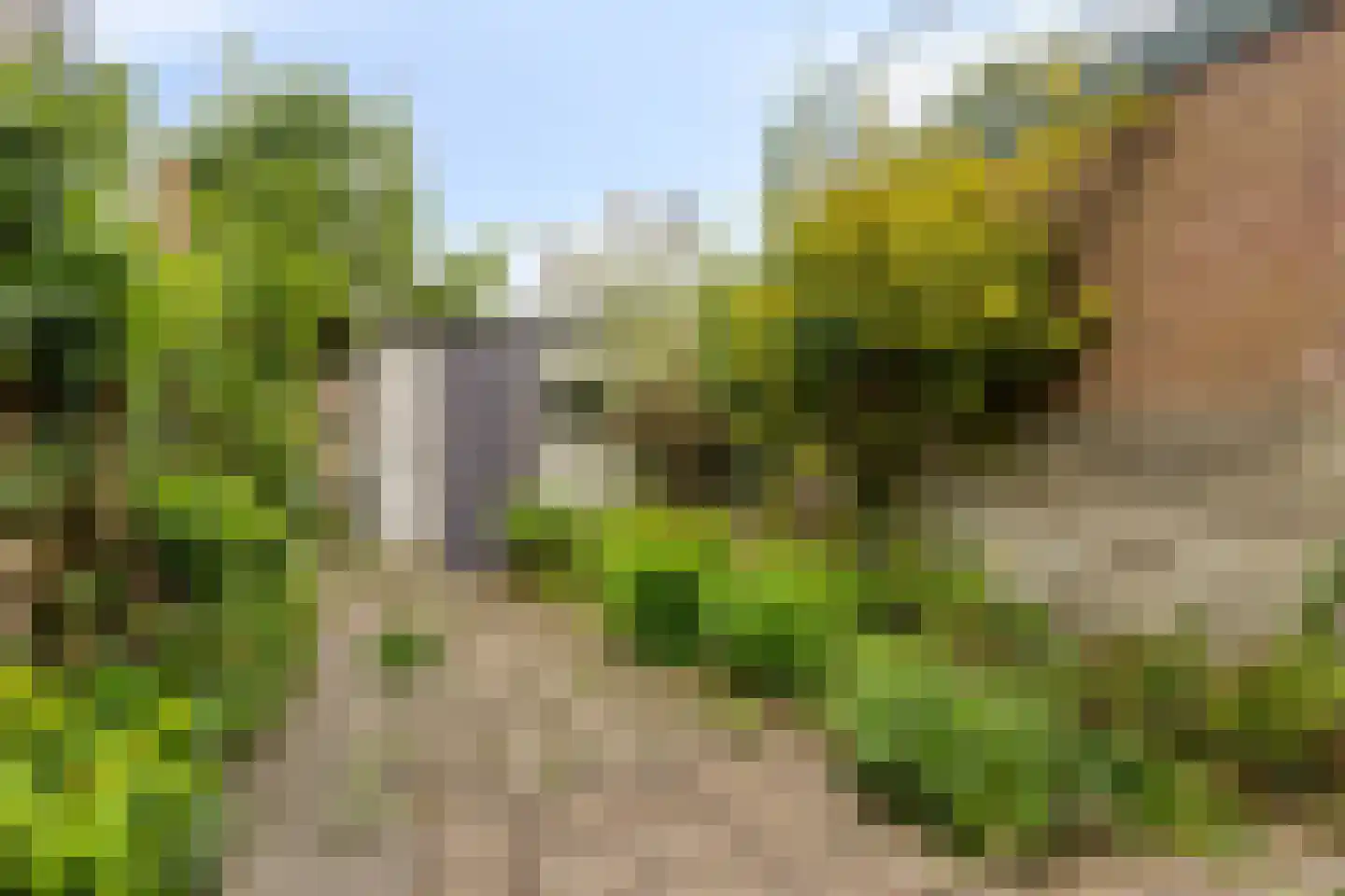 Molenbeekstraat 57 Arnhem thumbnail 19