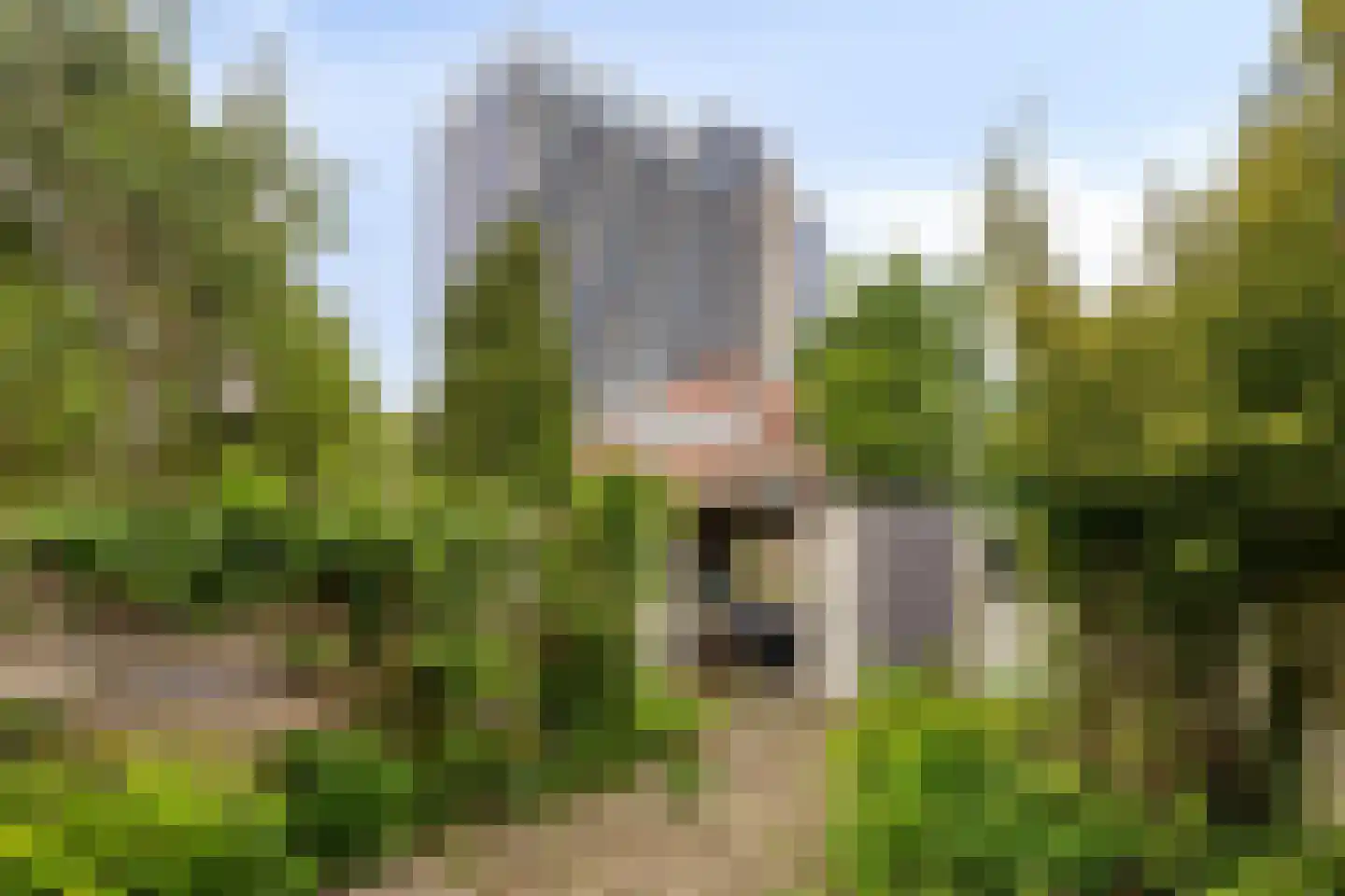 Molenbeekstraat 57 Arnhem thumbnail 20
