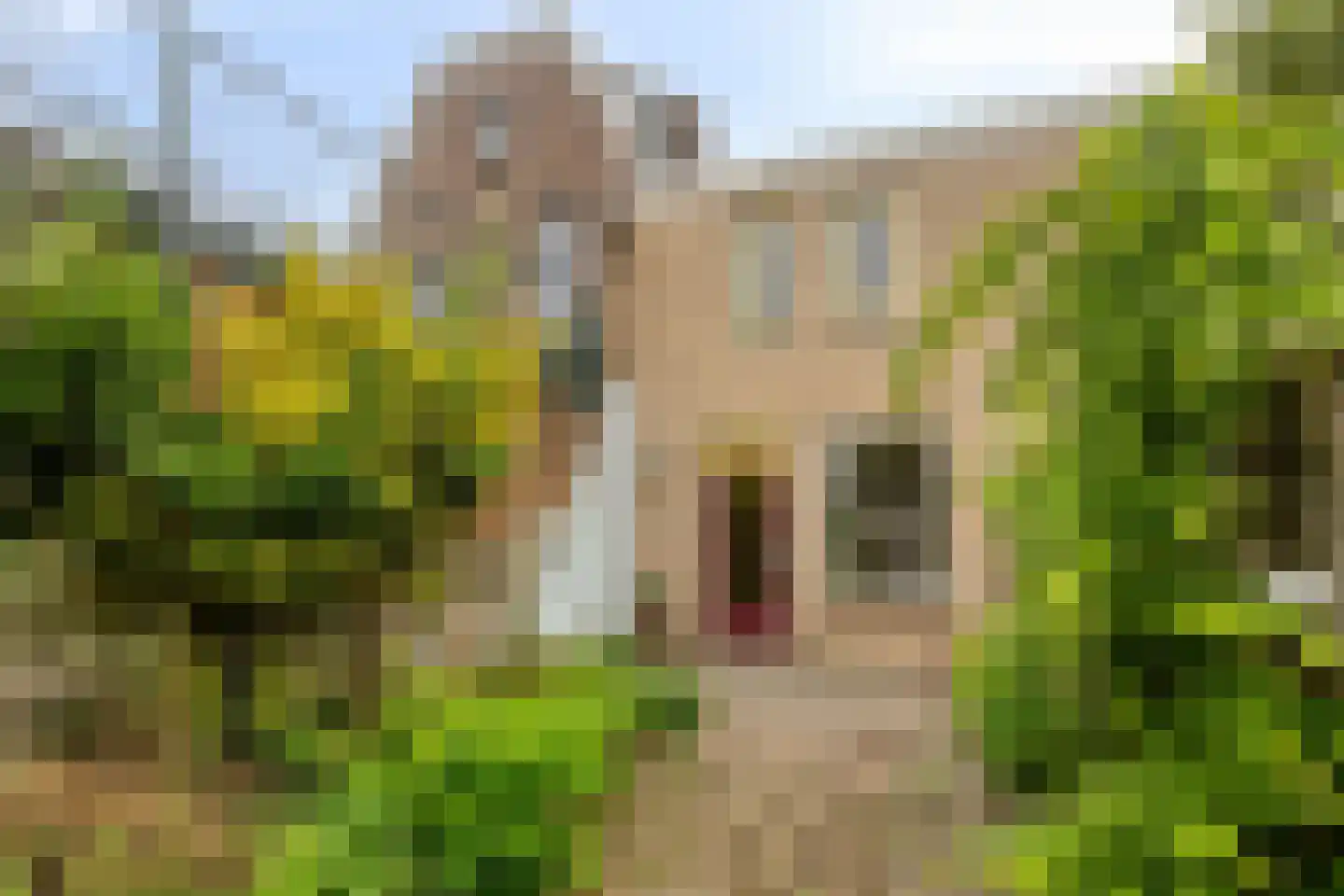 Molenbeekstraat 57 Arnhem thumbnail 21