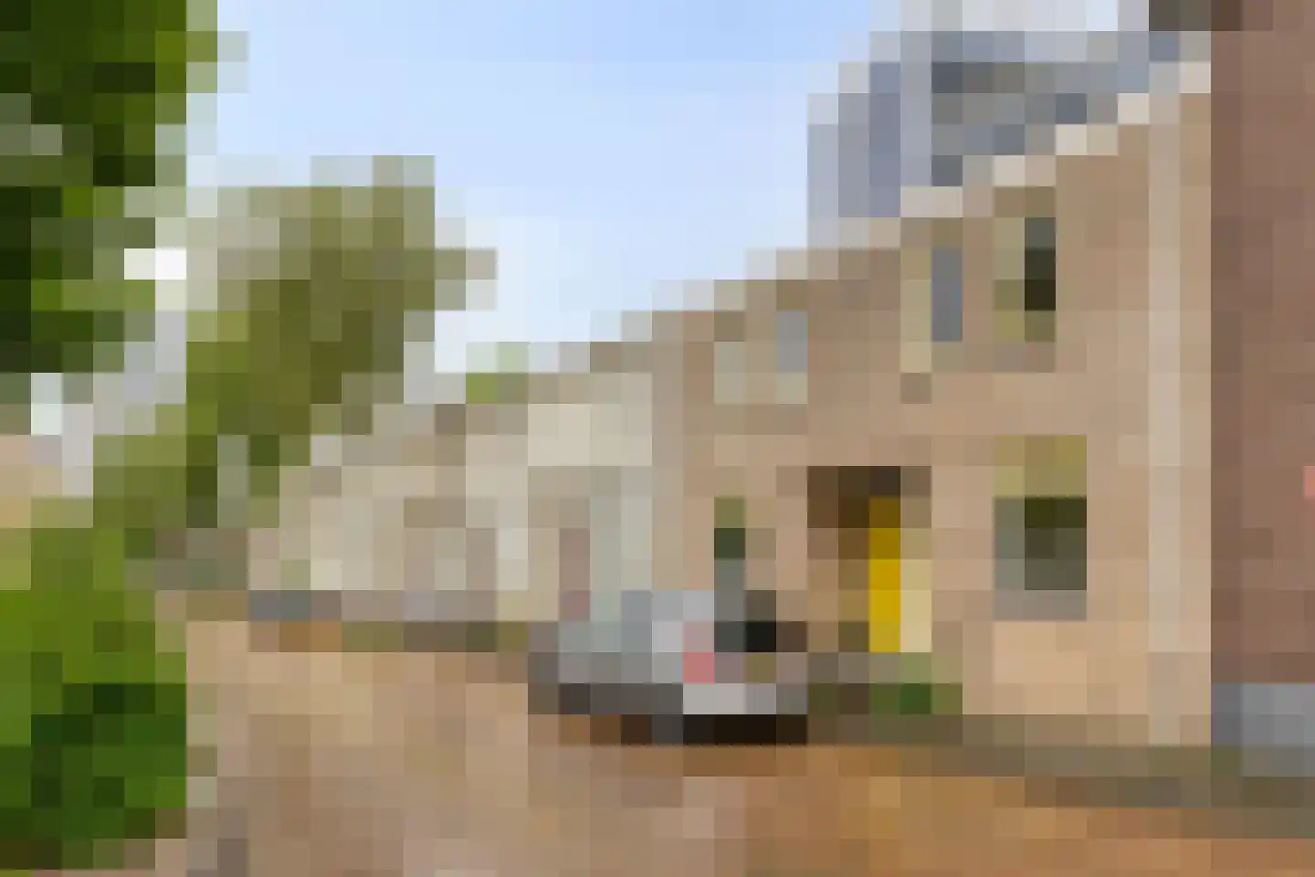 Molenbeekstraat 57 Arnhem thumbnail 34