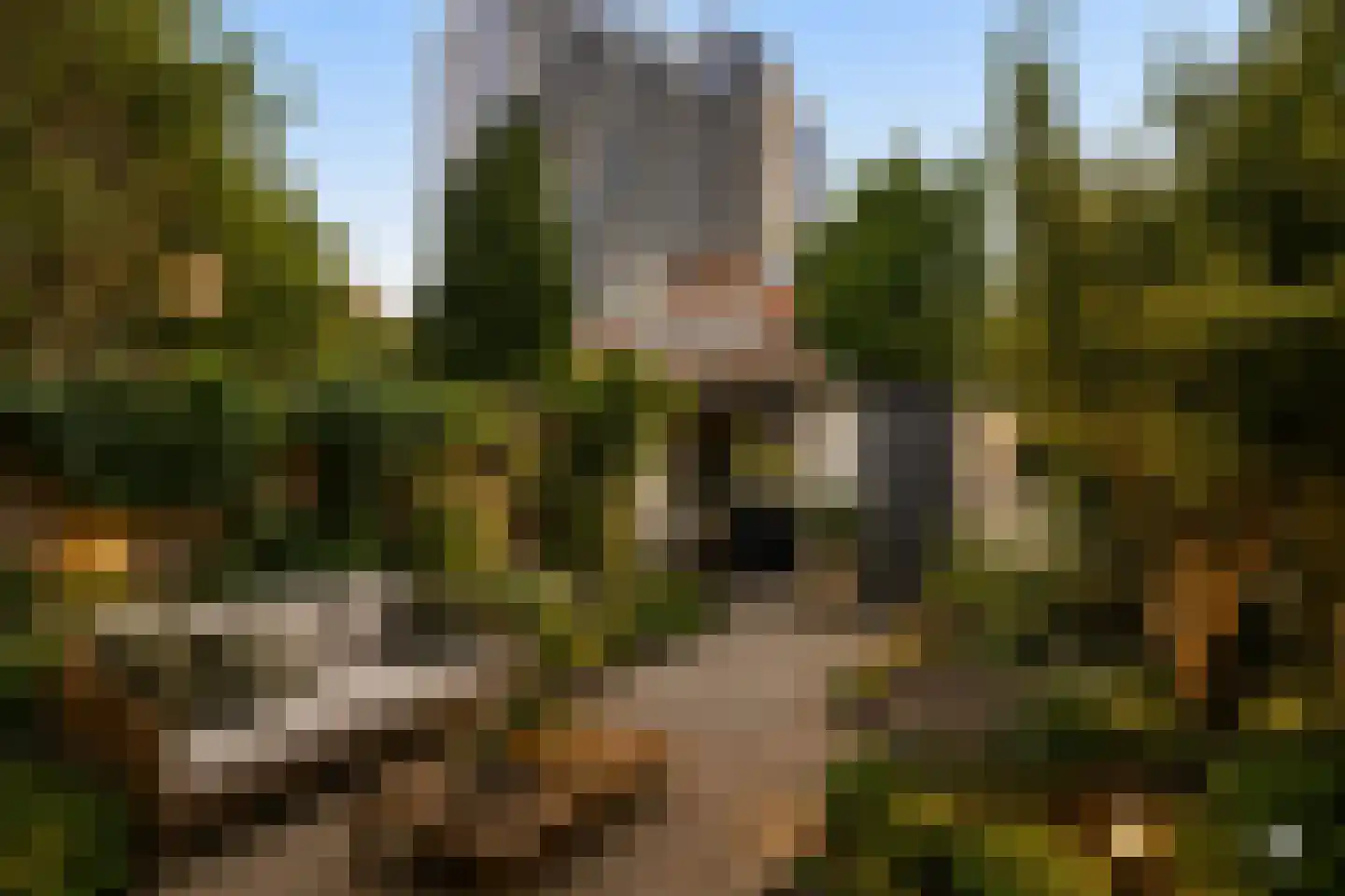 Molenbeekstraat 57 Arnhem thumbnail 6