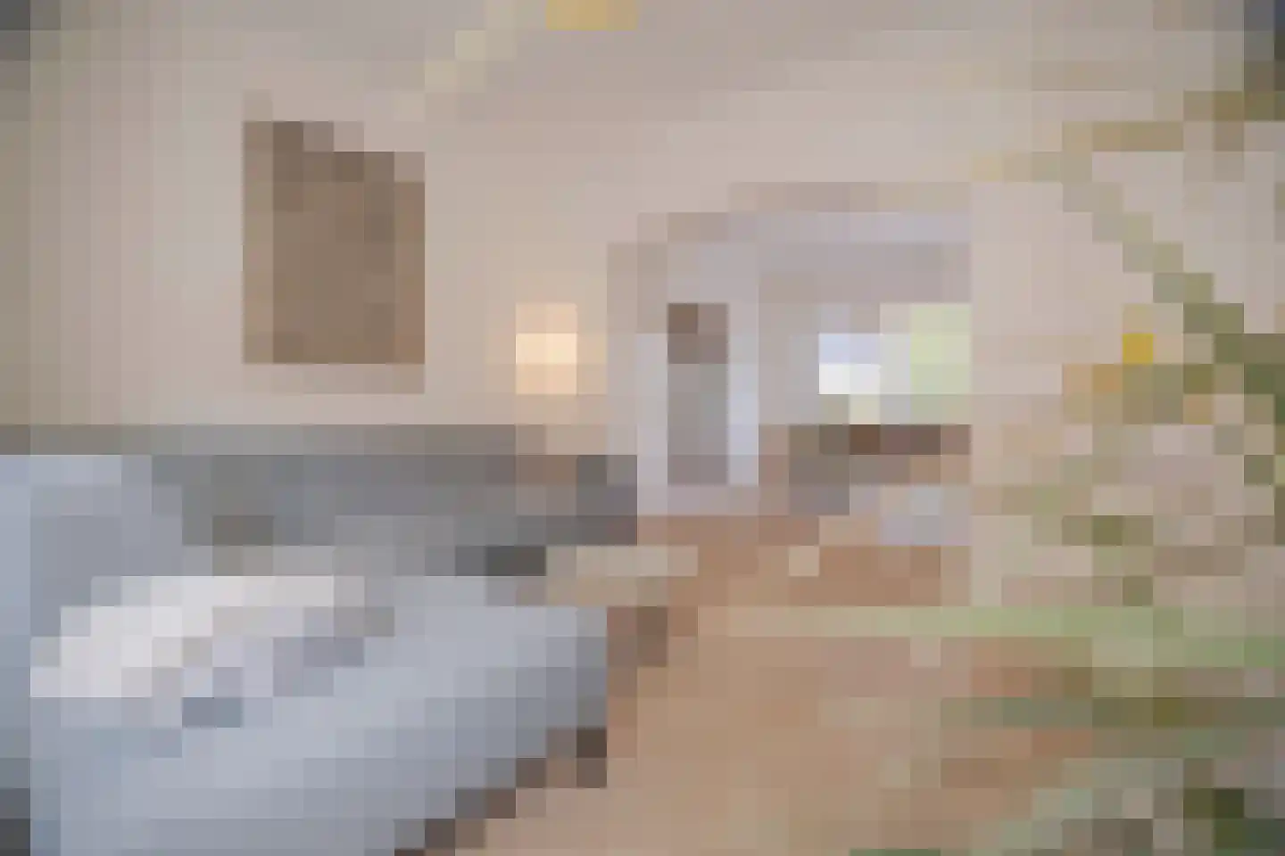 Molenbeekstraat 7 Arnhem thumbnail 11