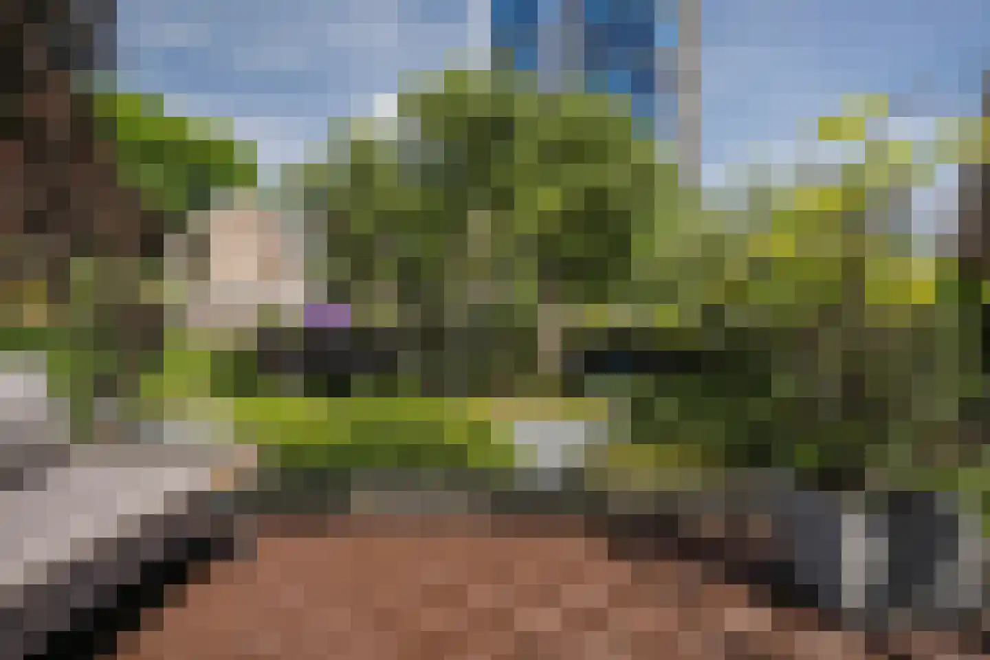 Molenbeekstraat 7 Arnhem thumbnail 21