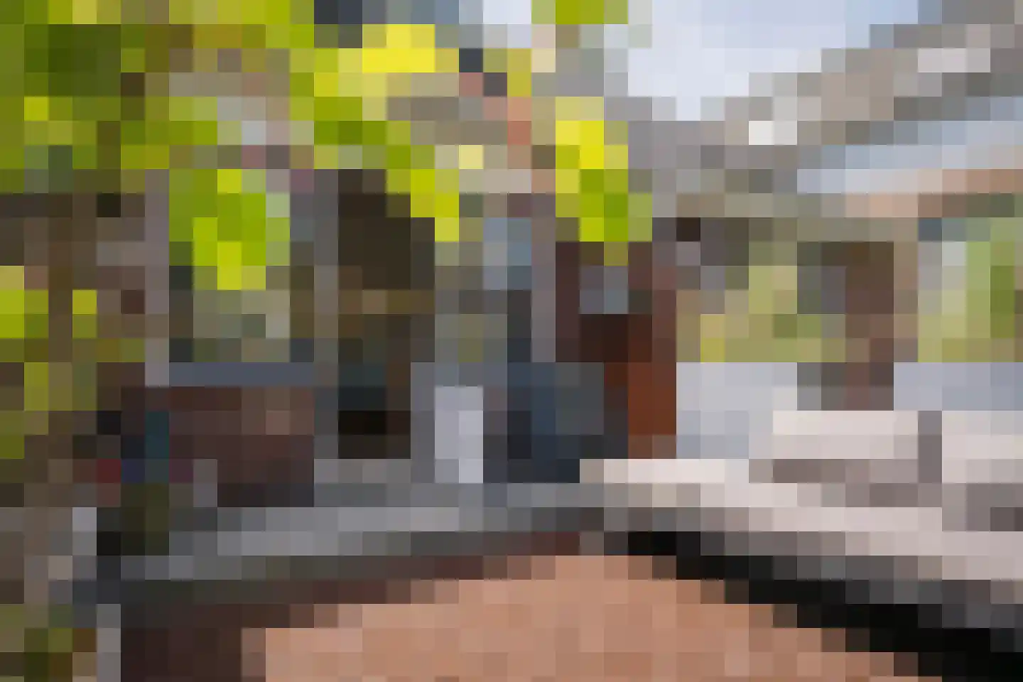 Molenbeekstraat 7 Arnhem thumbnail 22