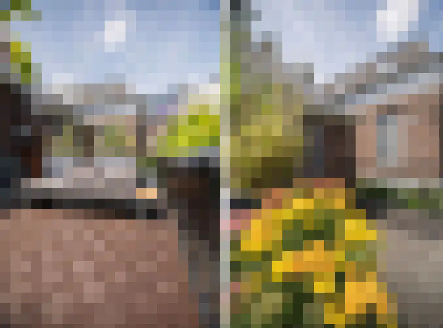 Molenbeekstraat 7 Arnhem thumbnail 23