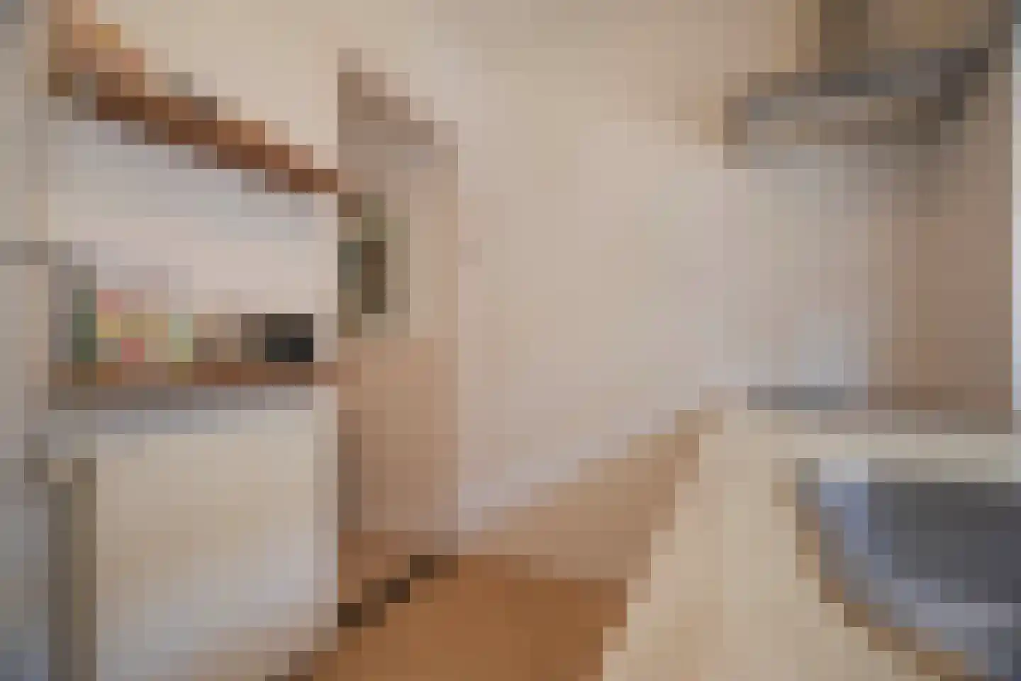 Molenbeekstraat 7 Arnhem thumbnail 26