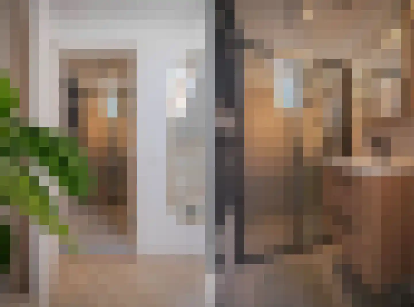 Molenbeekstraat 7 Arnhem thumbnail 38