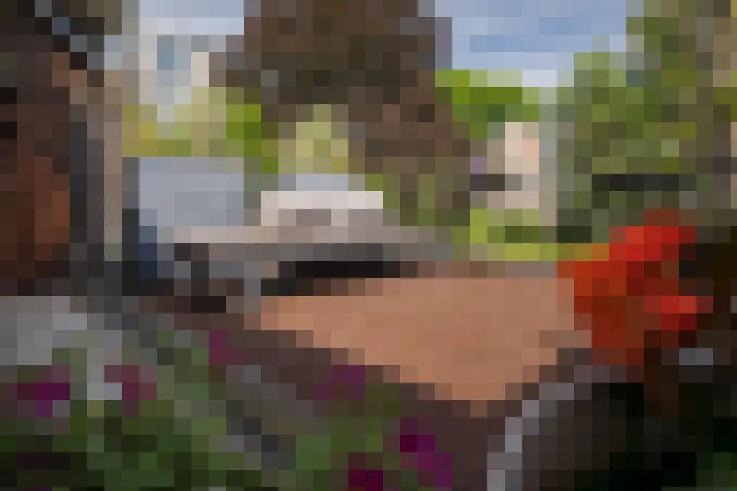 Molenbeekstraat 7 Arnhem thumbnail 4