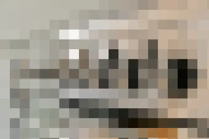 Molenbeekstraat 8 2 Amsterdam thumbnail 9