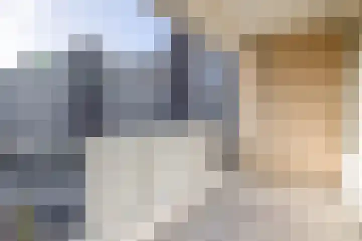 Molenbeemden 26 Veghel thumbnail 10
