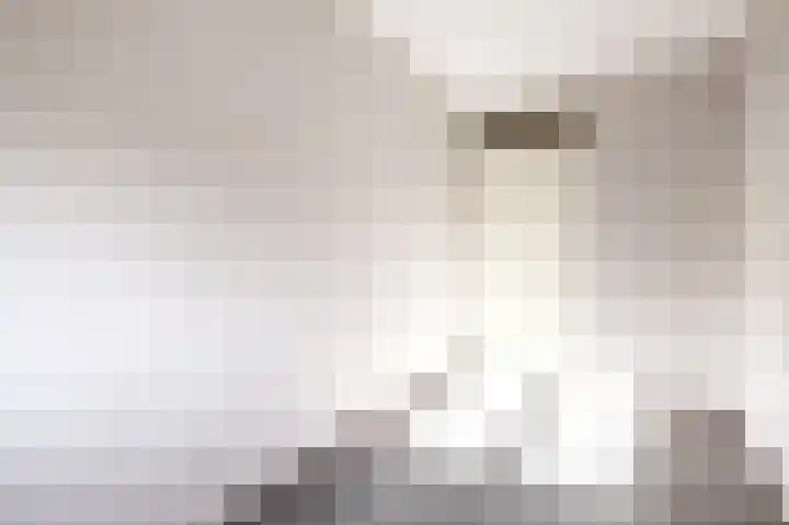 Molenbeemden 26 Veghel thumbnail 19